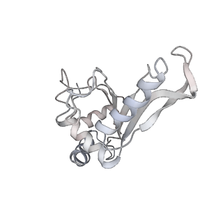 21637_6wdi_e_v1-2
Cryo-EM of elongating ribosome with EF-Tu*GTP elucidates tRNA proofreading (Non-cognate Structure IV-B2)