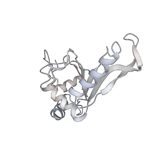 21637_6wdi_e_v1-3
Cryo-EM of elongating ribosome with EF-Tu*GTP elucidates tRNA proofreading (Non-cognate Structure IV-B2)