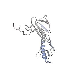 21637_6wdi_f_v1-2
Cryo-EM of elongating ribosome with EF-Tu*GTP elucidates tRNA proofreading (Non-cognate Structure IV-B2)