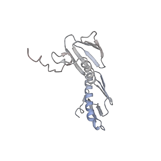 21637_6wdi_f_v1-3
Cryo-EM of elongating ribosome with EF-Tu*GTP elucidates tRNA proofreading (Non-cognate Structure IV-B2)