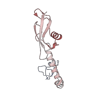 21637_6wdi_g_v1-2
Cryo-EM of elongating ribosome with EF-Tu*GTP elucidates tRNA proofreading (Non-cognate Structure IV-B2)
