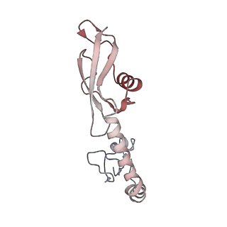 21637_6wdi_g_v1-3
Cryo-EM of elongating ribosome with EF-Tu*GTP elucidates tRNA proofreading (Non-cognate Structure IV-B2)