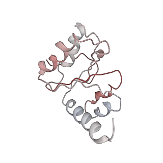 21637_6wdi_h_v1-2
Cryo-EM of elongating ribosome with EF-Tu*GTP elucidates tRNA proofreading (Non-cognate Structure IV-B2)