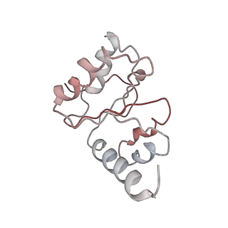 21637_6wdi_h_v1-3
Cryo-EM of elongating ribosome with EF-Tu*GTP elucidates tRNA proofreading (Non-cognate Structure IV-B2)