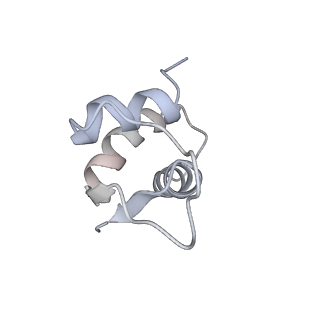 21637_6wdi_i_v1-2
Cryo-EM of elongating ribosome with EF-Tu*GTP elucidates tRNA proofreading (Non-cognate Structure IV-B2)