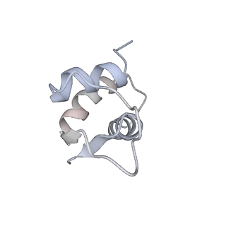 21637_6wdi_i_v1-3
Cryo-EM of elongating ribosome with EF-Tu*GTP elucidates tRNA proofreading (Non-cognate Structure IV-B2)