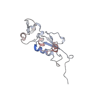 21637_6wdi_j_v1-2
Cryo-EM of elongating ribosome with EF-Tu*GTP elucidates tRNA proofreading (Non-cognate Structure IV-B2)
