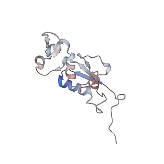 21637_6wdi_j_v1-3
Cryo-EM of elongating ribosome with EF-Tu*GTP elucidates tRNA proofreading (Non-cognate Structure IV-B2)