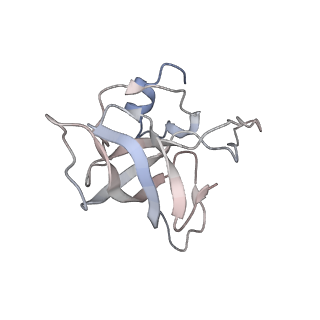 21637_6wdi_k_v1-2
Cryo-EM of elongating ribosome with EF-Tu*GTP elucidates tRNA proofreading (Non-cognate Structure IV-B2)