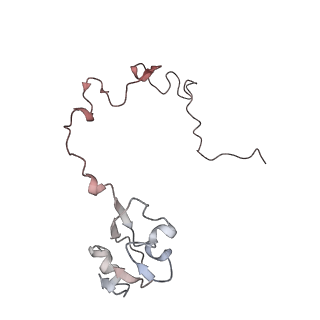 21637_6wdi_l_v1-2
Cryo-EM of elongating ribosome with EF-Tu*GTP elucidates tRNA proofreading (Non-cognate Structure IV-B2)