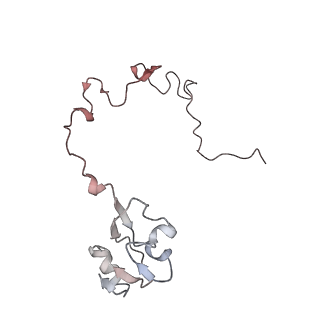 21637_6wdi_l_v1-3
Cryo-EM of elongating ribosome with EF-Tu*GTP elucidates tRNA proofreading (Non-cognate Structure IV-B2)