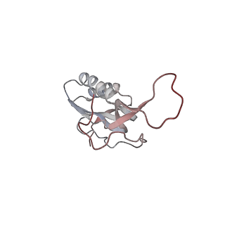 21637_6wdi_m_v1-2
Cryo-EM of elongating ribosome with EF-Tu*GTP elucidates tRNA proofreading (Non-cognate Structure IV-B2)
