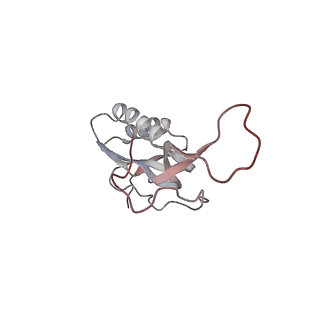 21637_6wdi_m_v1-3
Cryo-EM of elongating ribosome with EF-Tu*GTP elucidates tRNA proofreading (Non-cognate Structure IV-B2)