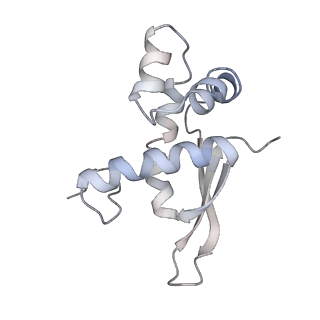 21637_6wdi_n_v1-2
Cryo-EM of elongating ribosome with EF-Tu*GTP elucidates tRNA proofreading (Non-cognate Structure IV-B2)