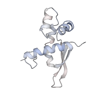 21637_6wdi_n_v1-3
Cryo-EM of elongating ribosome with EF-Tu*GTP elucidates tRNA proofreading (Non-cognate Structure IV-B2)