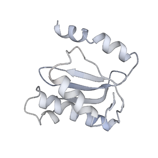 21637_6wdi_o_v1-2
Cryo-EM of elongating ribosome with EF-Tu*GTP elucidates tRNA proofreading (Non-cognate Structure IV-B2)