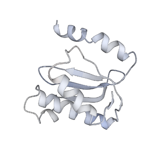 21637_6wdi_o_v1-3
Cryo-EM of elongating ribosome with EF-Tu*GTP elucidates tRNA proofreading (Non-cognate Structure IV-B2)