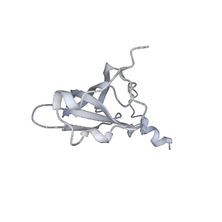 21637_6wdi_p_v1-2
Cryo-EM of elongating ribosome with EF-Tu*GTP elucidates tRNA proofreading (Non-cognate Structure IV-B2)