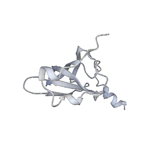 21637_6wdi_p_v1-3
Cryo-EM of elongating ribosome with EF-Tu*GTP elucidates tRNA proofreading (Non-cognate Structure IV-B2)