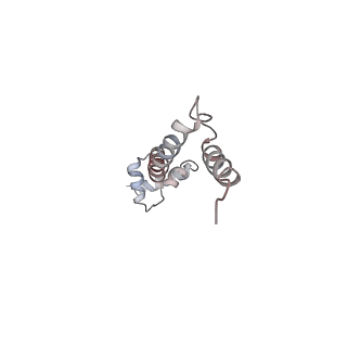 21637_6wdi_q_v1-2
Cryo-EM of elongating ribosome with EF-Tu*GTP elucidates tRNA proofreading (Non-cognate Structure IV-B2)