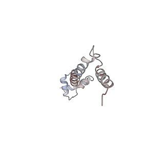 21637_6wdi_q_v1-3
Cryo-EM of elongating ribosome with EF-Tu*GTP elucidates tRNA proofreading (Non-cognate Structure IV-B2)