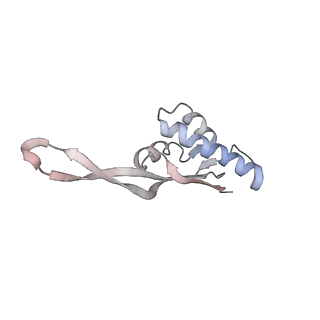 21637_6wdi_s_v1-2
Cryo-EM of elongating ribosome with EF-Tu*GTP elucidates tRNA proofreading (Non-cognate Structure IV-B2)