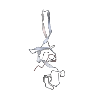 21637_6wdi_u_v1-2
Cryo-EM of elongating ribosome with EF-Tu*GTP elucidates tRNA proofreading (Non-cognate Structure IV-B2)