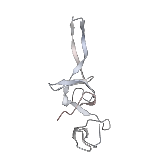 21637_6wdi_u_v1-3
Cryo-EM of elongating ribosome with EF-Tu*GTP elucidates tRNA proofreading (Non-cognate Structure IV-B2)