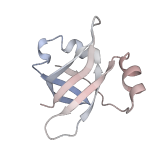 21637_6wdi_v_v1-2
Cryo-EM of elongating ribosome with EF-Tu*GTP elucidates tRNA proofreading (Non-cognate Structure IV-B2)
