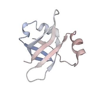 21637_6wdi_v_v1-3
Cryo-EM of elongating ribosome with EF-Tu*GTP elucidates tRNA proofreading (Non-cognate Structure IV-B2)