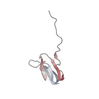 21637_6wdi_w_v1-2
Cryo-EM of elongating ribosome with EF-Tu*GTP elucidates tRNA proofreading (Non-cognate Structure IV-B2)