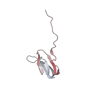 21637_6wdi_w_v1-3
Cryo-EM of elongating ribosome with EF-Tu*GTP elucidates tRNA proofreading (Non-cognate Structure IV-B2)