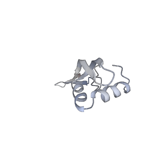21637_6wdi_x_v1-2
Cryo-EM of elongating ribosome with EF-Tu*GTP elucidates tRNA proofreading (Non-cognate Structure IV-B2)
