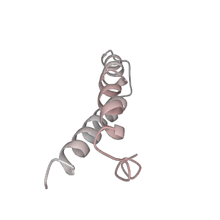 21637_6wdi_y_v1-2
Cryo-EM of elongating ribosome with EF-Tu*GTP elucidates tRNA proofreading (Non-cognate Structure IV-B2)