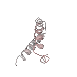 21637_6wdi_y_v1-3
Cryo-EM of elongating ribosome with EF-Tu*GTP elucidates tRNA proofreading (Non-cognate Structure IV-B2)