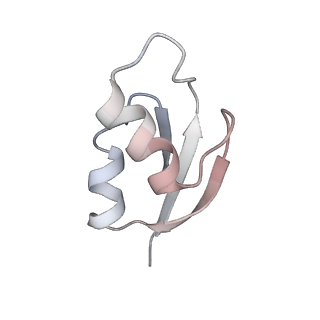 21637_6wdi_z_v1-2
Cryo-EM of elongating ribosome with EF-Tu*GTP elucidates tRNA proofreading (Non-cognate Structure IV-B2)