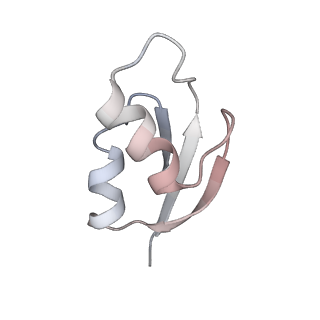 21637_6wdi_z_v1-3
Cryo-EM of elongating ribosome with EF-Tu*GTP elucidates tRNA proofreading (Non-cognate Structure IV-B2)