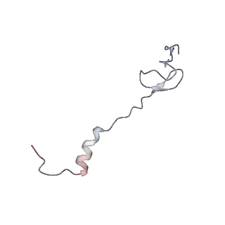 21638_6wdj_B_v1-2
Cryo-EM of elongating ribosome with EF-Tu*GTP elucidates tRNA proofreading (Non-cognate Structure V-A1)