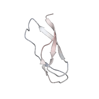 21638_6wdj_C_v1-3
Cryo-EM of elongating ribosome with EF-Tu*GTP elucidates tRNA proofreading (Non-cognate Structure V-A1)