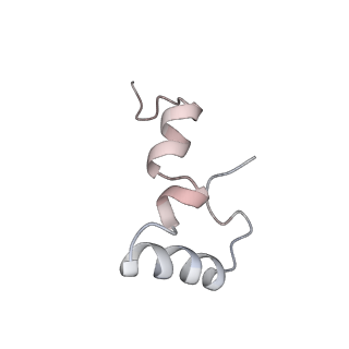 21638_6wdj_D_v1-2
Cryo-EM of elongating ribosome with EF-Tu*GTP elucidates tRNA proofreading (Non-cognate Structure V-A1)