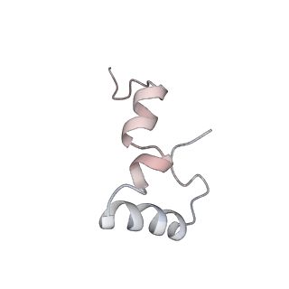 21638_6wdj_D_v1-3
Cryo-EM of elongating ribosome with EF-Tu*GTP elucidates tRNA proofreading (Non-cognate Structure V-A1)