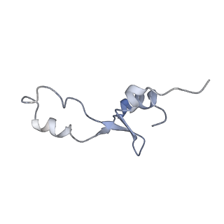 21638_6wdj_E_v1-2
Cryo-EM of elongating ribosome with EF-Tu*GTP elucidates tRNA proofreading (Non-cognate Structure V-A1)