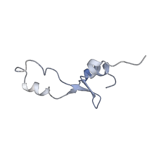 21638_6wdj_E_v1-3
Cryo-EM of elongating ribosome with EF-Tu*GTP elucidates tRNA proofreading (Non-cognate Structure V-A1)