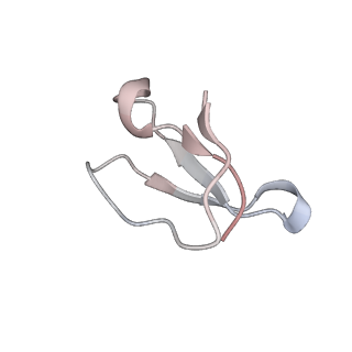 21638_6wdj_F_v1-2
Cryo-EM of elongating ribosome with EF-Tu*GTP elucidates tRNA proofreading (Non-cognate Structure V-A1)
