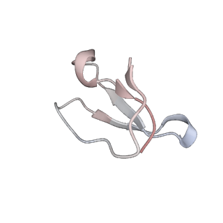 21638_6wdj_F_v1-3
Cryo-EM of elongating ribosome with EF-Tu*GTP elucidates tRNA proofreading (Non-cognate Structure V-A1)