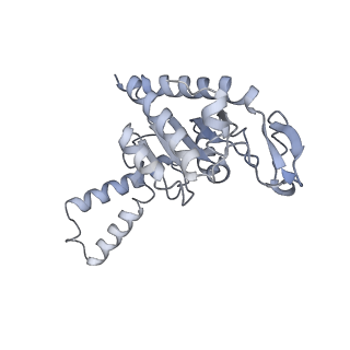 21638_6wdj_G_v1-2
Cryo-EM of elongating ribosome with EF-Tu*GTP elucidates tRNA proofreading (Non-cognate Structure V-A1)