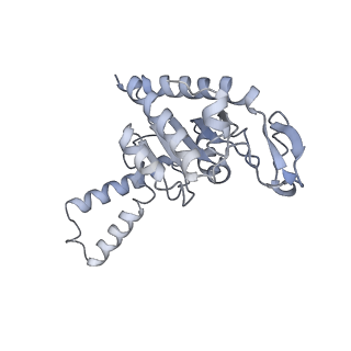 21638_6wdj_G_v1-3
Cryo-EM of elongating ribosome with EF-Tu*GTP elucidates tRNA proofreading (Non-cognate Structure V-A1)