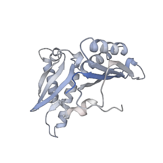 21638_6wdj_H_v1-2
Cryo-EM of elongating ribosome with EF-Tu*GTP elucidates tRNA proofreading (Non-cognate Structure V-A1)