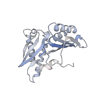 21638_6wdj_H_v1-3
Cryo-EM of elongating ribosome with EF-Tu*GTP elucidates tRNA proofreading (Non-cognate Structure V-A1)