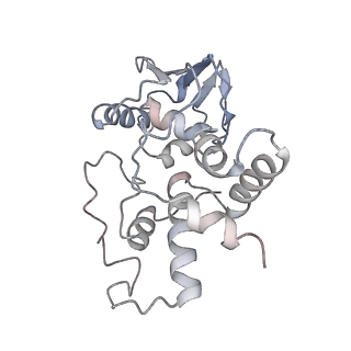 21638_6wdj_I_v1-2
Cryo-EM of elongating ribosome with EF-Tu*GTP elucidates tRNA proofreading (Non-cognate Structure V-A1)